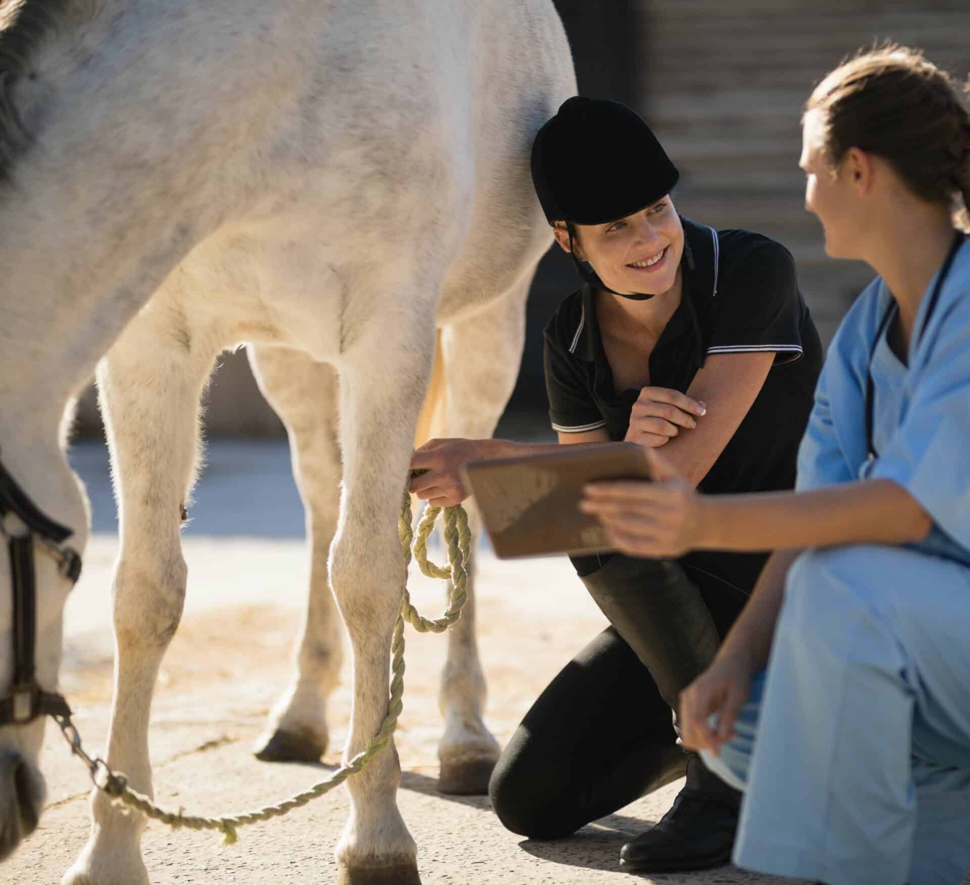Health Certificates (Certificates of Veterinary Inspection)