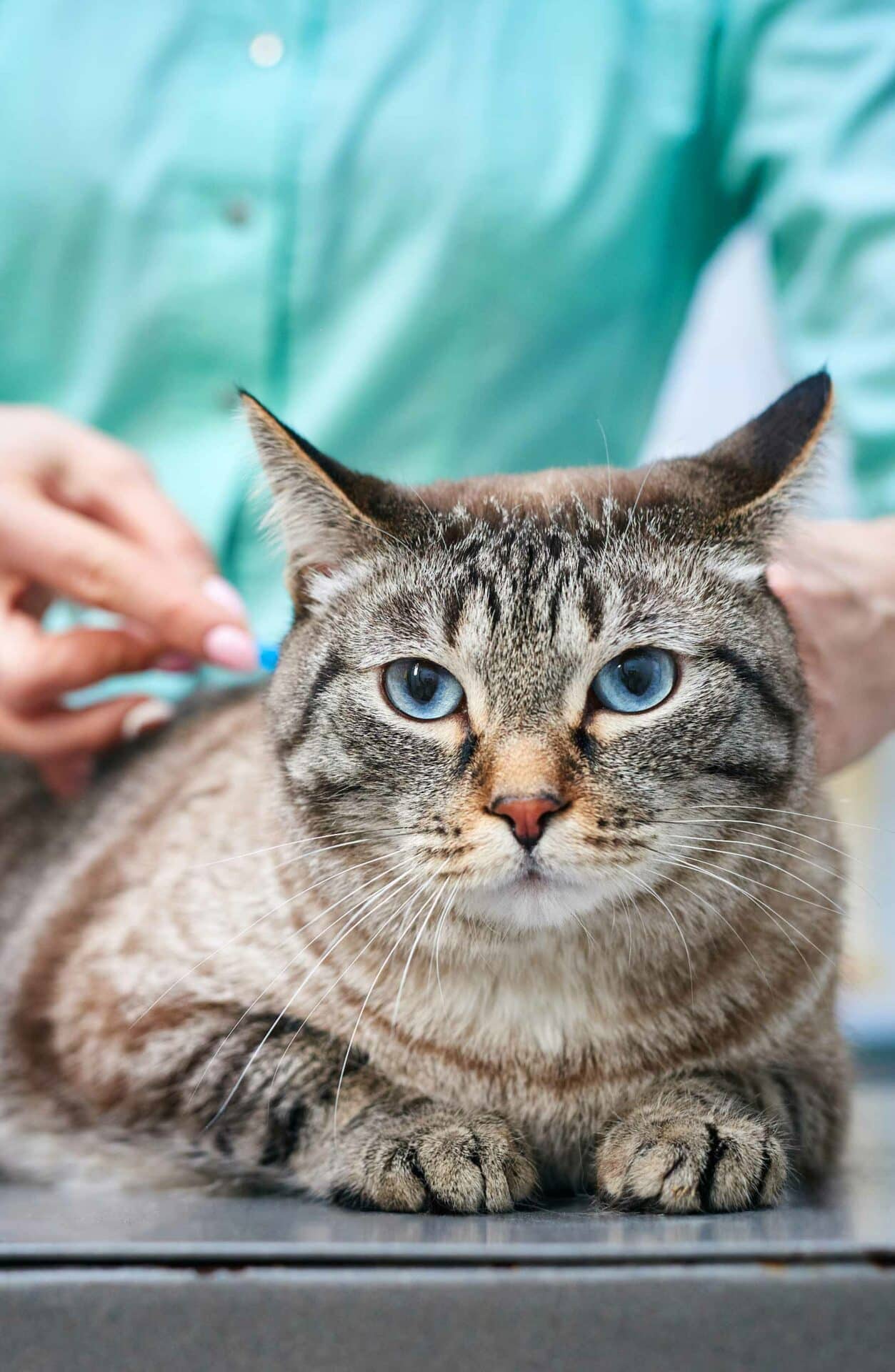 Vaccinations and Immunizations